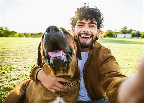 how are dogs similar to humans